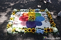 VBS_9972 - Infiorata di Villanova d'Asti 2023